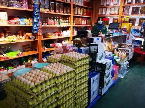 雁塔區啟動“三保”行動，全力保障食用農產品批發供應穩定